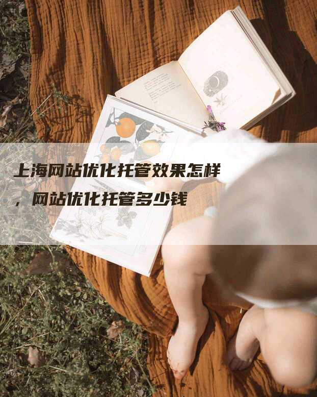 上海网站优化托管效果怎样，网站优化托管多少钱