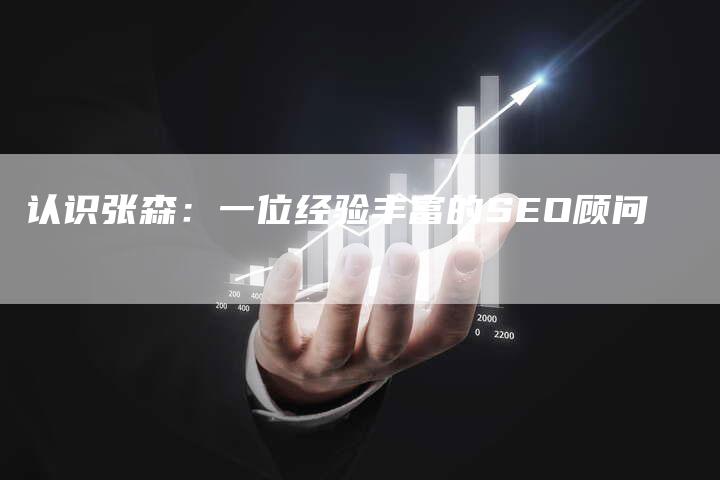认识张森：一位经验丰富的SEO顾问-网站排名优化网