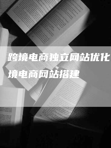 跨境电商独立网站优化，跨境电商网站搭建-网站排名优化网