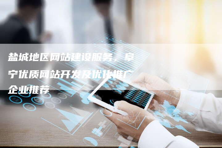 盐城地区网站建设服务，阜宁优质网站开发及优化推广企业推荐-网站排名优化网