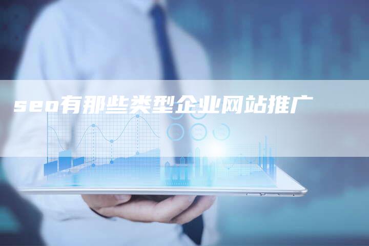 seo有那些类型企业网站推广