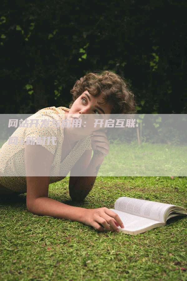 网站开发与应用：开启互联网+新时代
