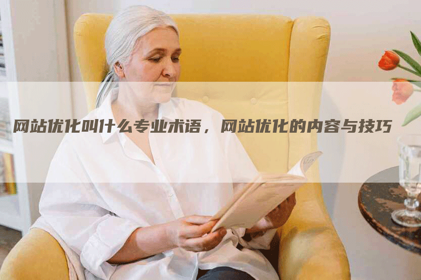 网站优化叫什么专业术语，网站优化的内容与技巧