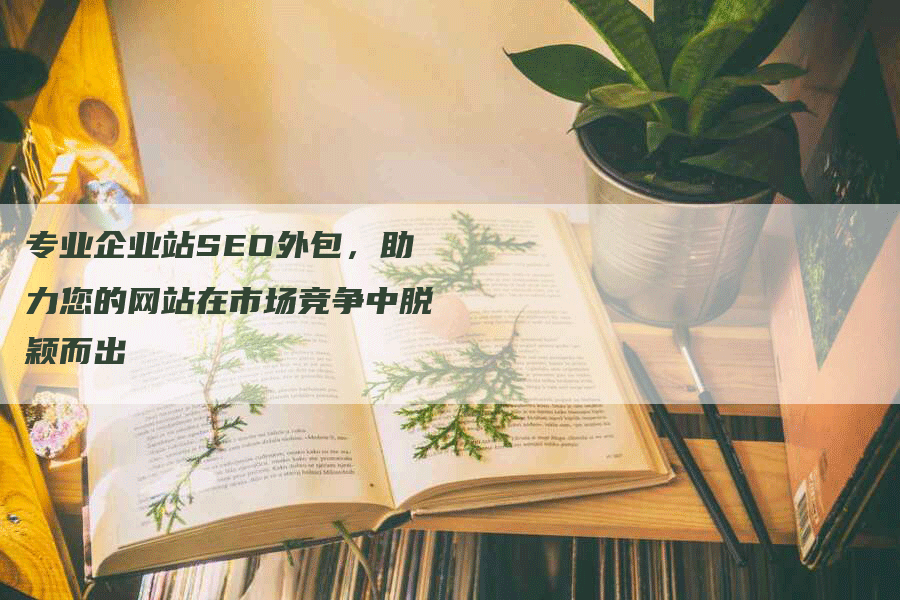 专业企业站SEO外包，助力您的网站在市场竞争中脱颖而出-网站排名优化网