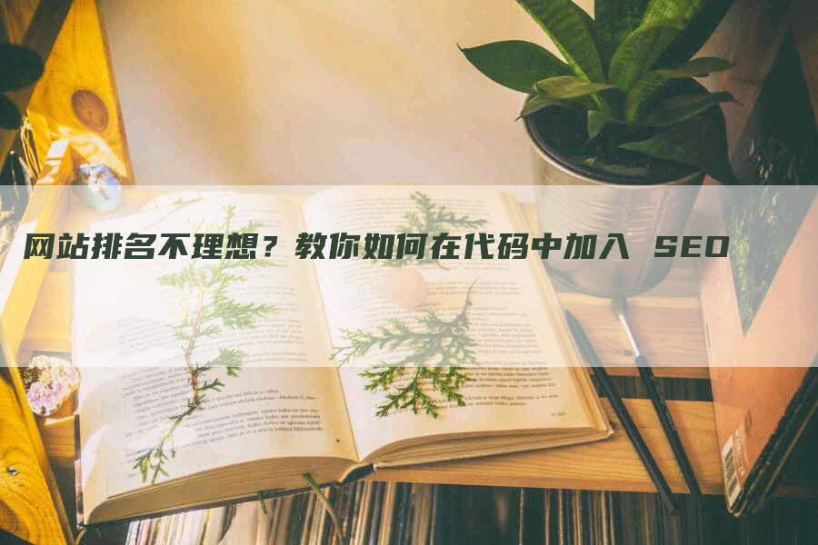 网站排名不理想？教你如何在代码中加入 SEO-网站排名优化网