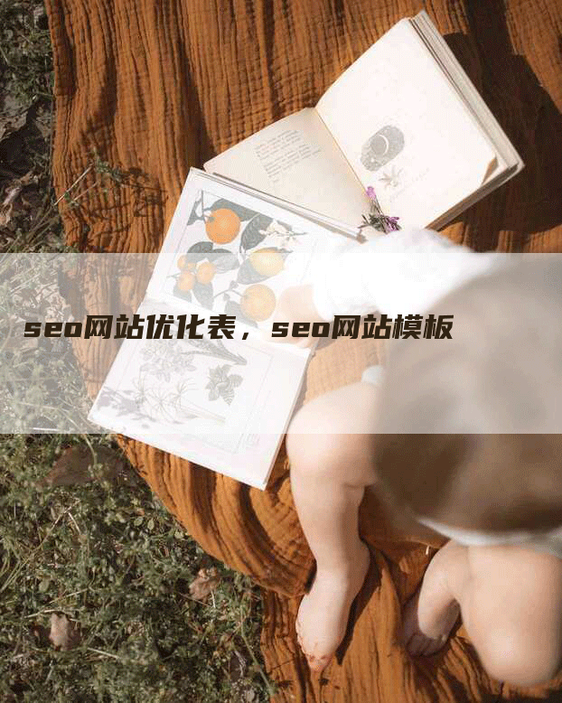 seo网站优化表，seo网站模板