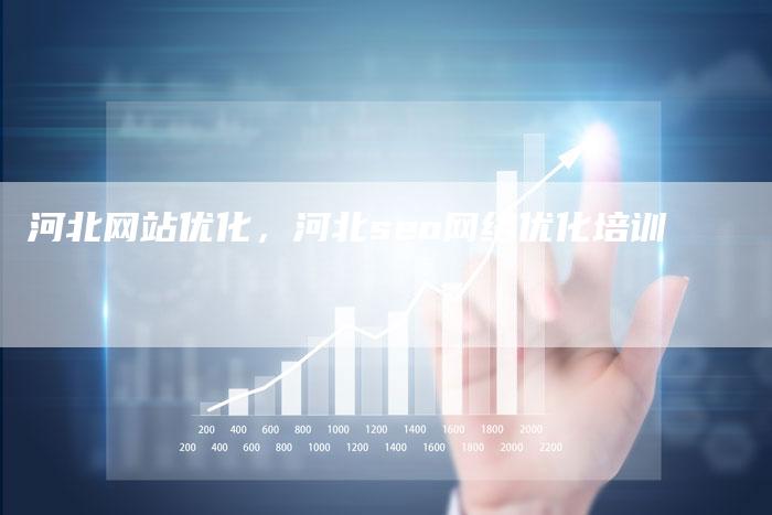 河北网站优化，河北seo网络优化培训