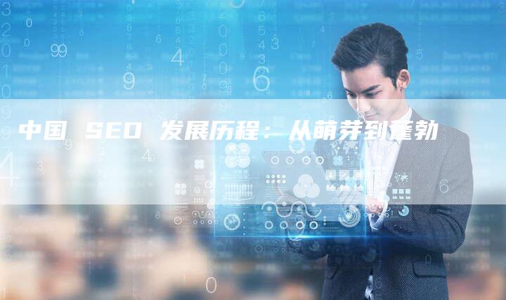 中国 SEO 发展历程：从萌芽到蓬勃-网站排名优化网