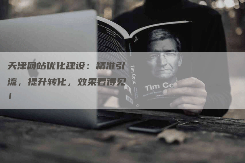 天津网站优化建设：精准引流，提升转化，效果看得见！-网站排名优化网