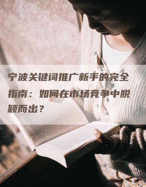 宁波关键词推广新手的完全指南:如何在市场竞争中脱颖而出?-网站排名优化网