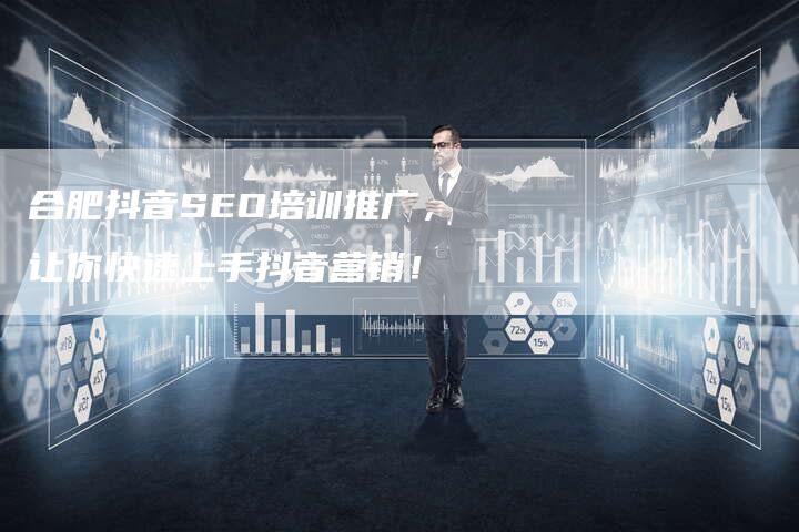 合肥抖音SEO培训推广，让你快速上手抖音营销！
