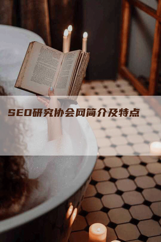SEO研究协会网简介及特点-网站排名优化网