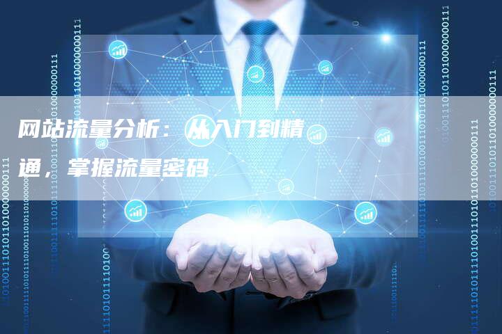 网站流量分析：从入门到精通，掌握流量密码