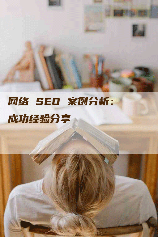 网络 SEO 案例分析：成功经验分享-网站排名优化网