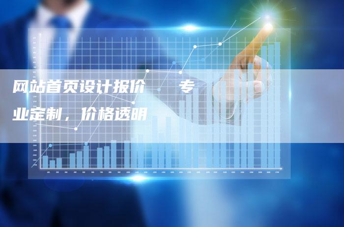 网站首页设计报价   专业定制，价格透明-网站排名优化网