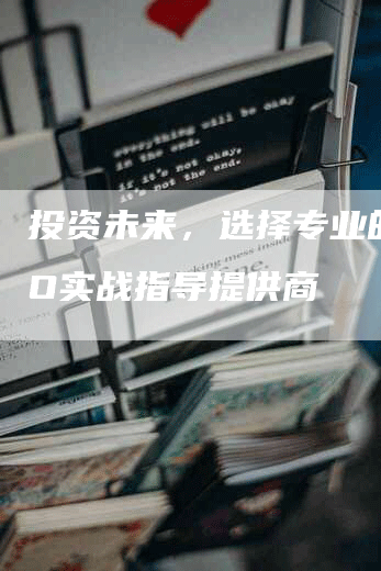 投资未来，选择专业的SEO实战指导提供商-网站排名优化网