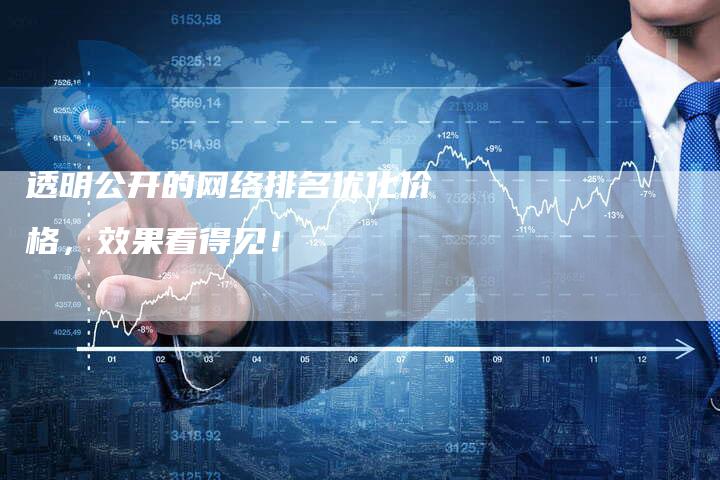 透明公开的网络排名优化价格，效果看得见！-网站排名优化网