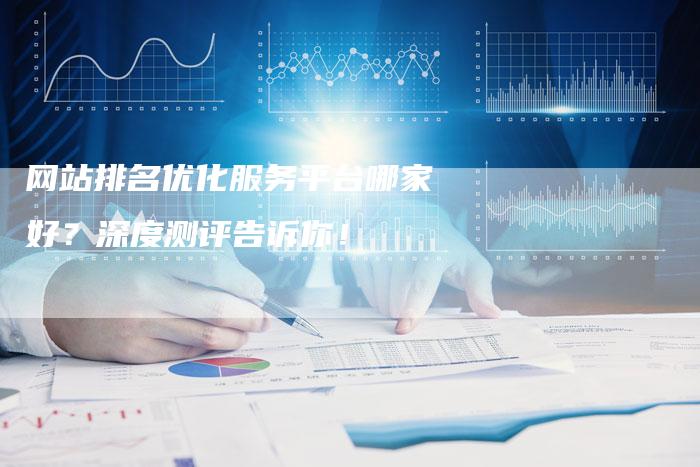 网站排名优化服务平台哪家好？深度测评告诉你！-网站排名优化网
