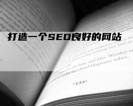 打造一个SEO良好的网站