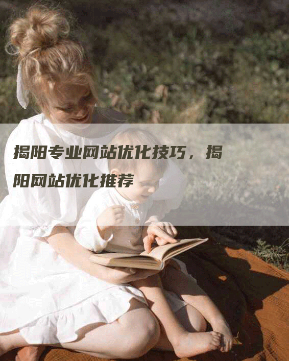 揭阳专业网站优化技巧，揭阳网站优化推荐