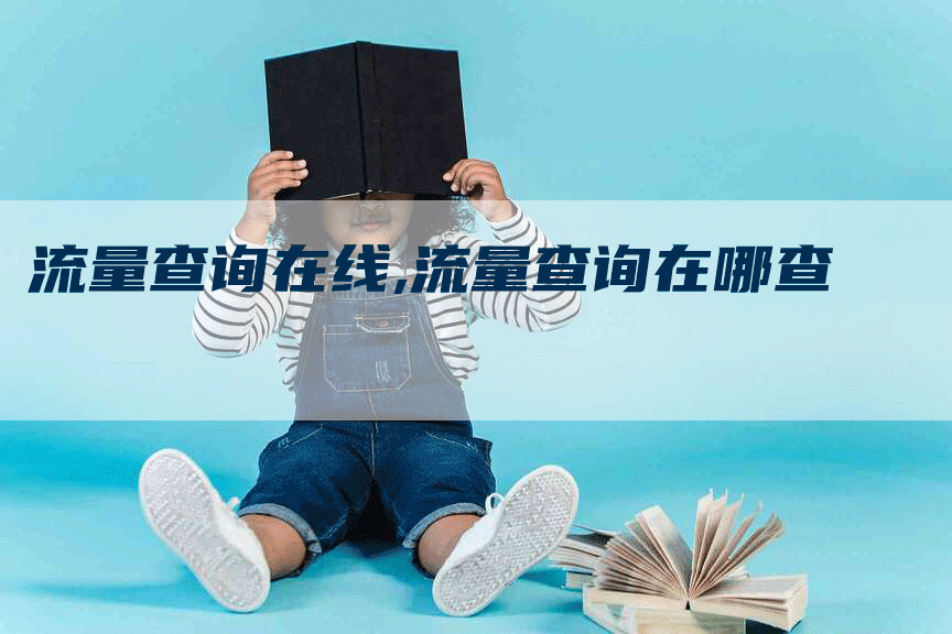 流量查询在线,流量查询在哪查-网站排名优化网