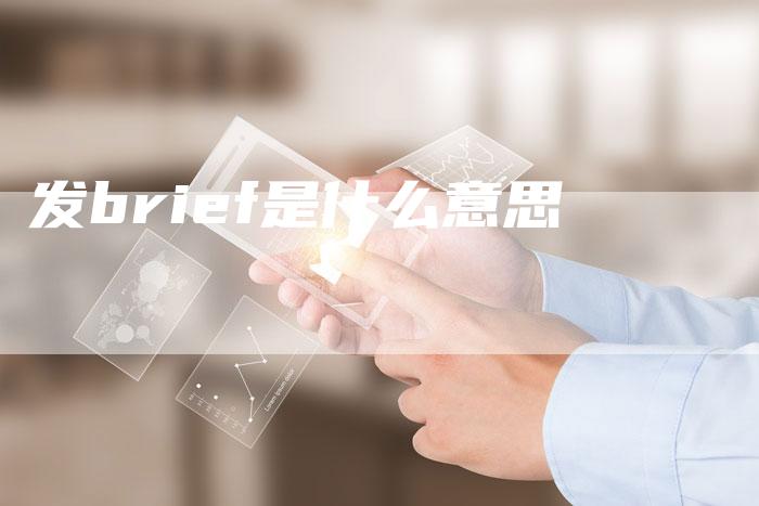 发brief是什么意思-网站排名优化网