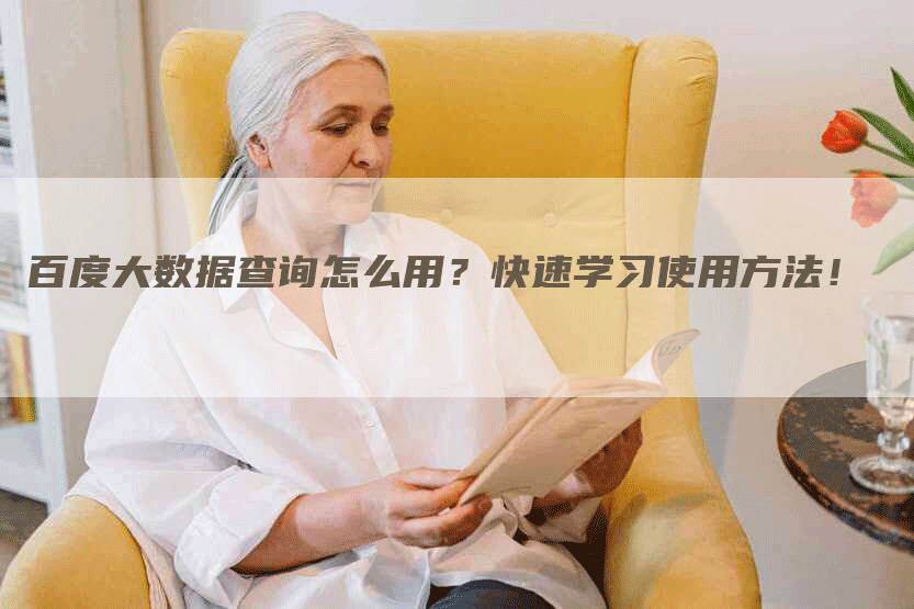 百度大数据查询怎么用？快速学习使用方法！-网站排名优化网