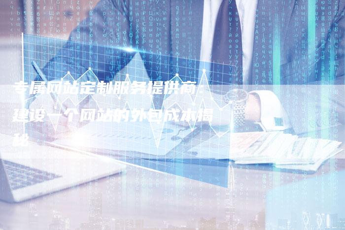 专属网站定制服务提供商：建设一个网站的外包成本揭秘-网站排名优化网
