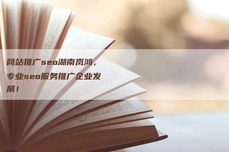 网站推广seo湖南岚鸿，专业seo服务推广企业发展！