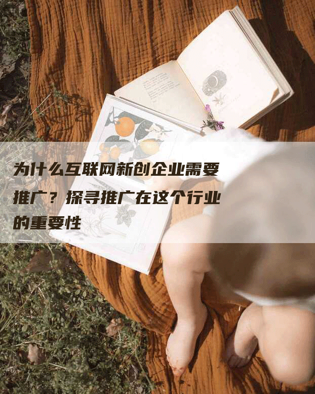 为什么互联网新创企业需要推广？探寻推广在这个行业的重要性-网站排名优化网