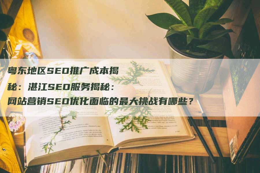 粤东地区SEO推广成本揭秘：湛江SEO服务揭秘：网站营销SEO优化面临的最大挑战有哪些？-网站排名优化网