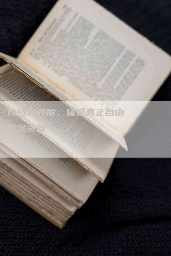网络无界限：体验真正自由的浏览器-网站排名优化网