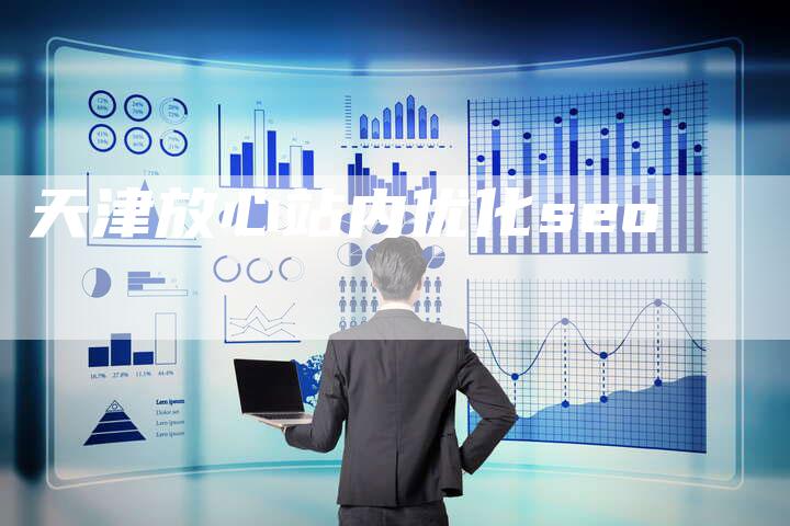 天津放心站内优化seo