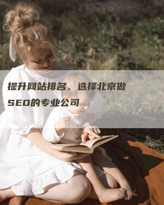提升网站排名，选择北京做SEO的专业公司