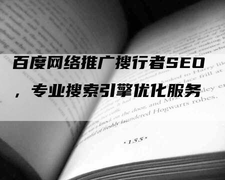 百度网络推广搜行者SEO，专业搜索引擎优化服务