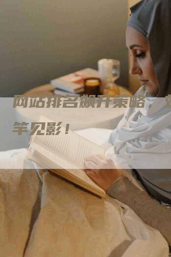 网站排名飙升策略,效果立竿见影!-网站排名优化网