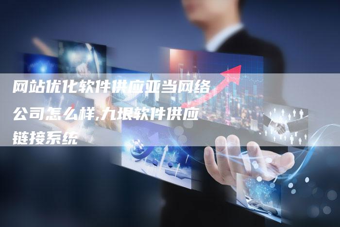 网站优化软件供应亚当网络公司怎么样,九垠软件供应链接系统