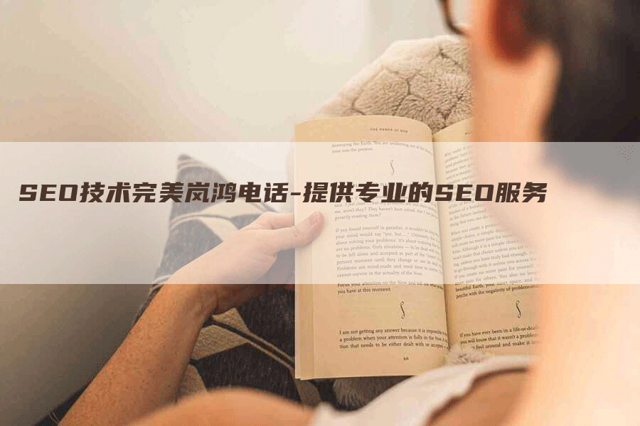SEO技术完美岚鸿电话-提供专业的SEO服务