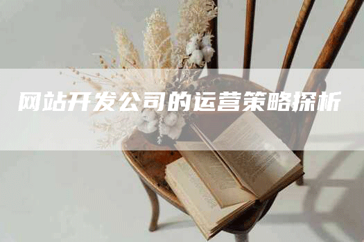 网站开发公司的运营策略探析-网站排名优化网