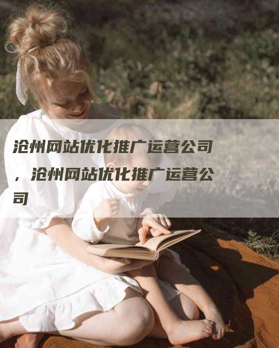 沧州网站优化推广运营公司，沧州网站优化推广运营公司