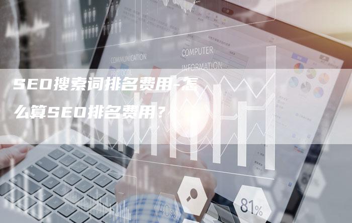 SEO搜索词排名费用-怎么算SEO排名费用？-网站排名优化网