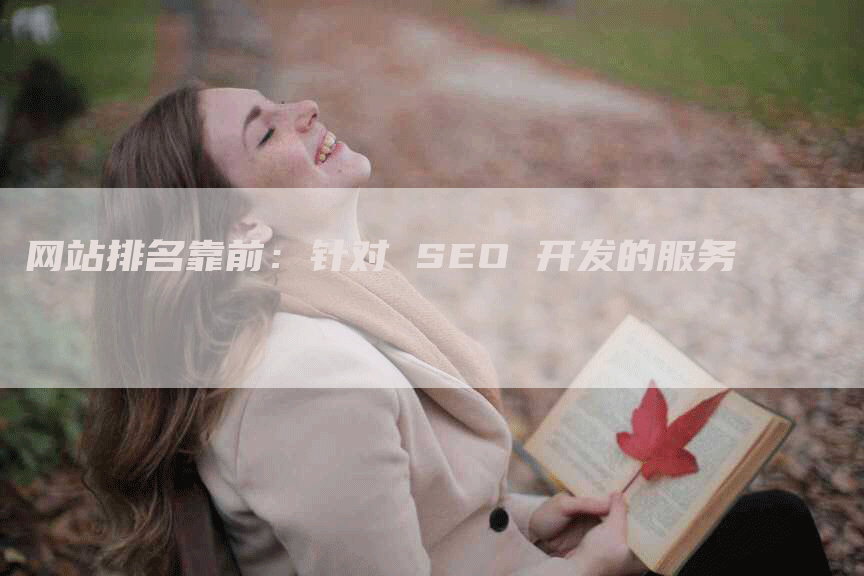 网站排名靠前：针对 SEO 开发的服务-网站排名优化网