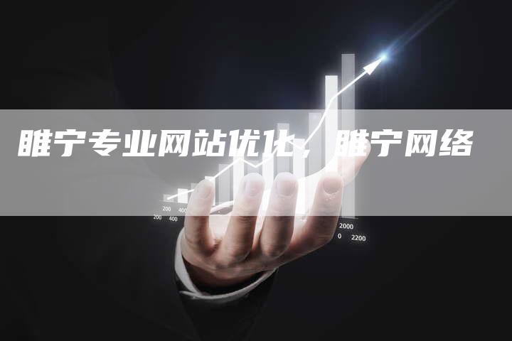 睢宁专业网站优化，睢宁网络