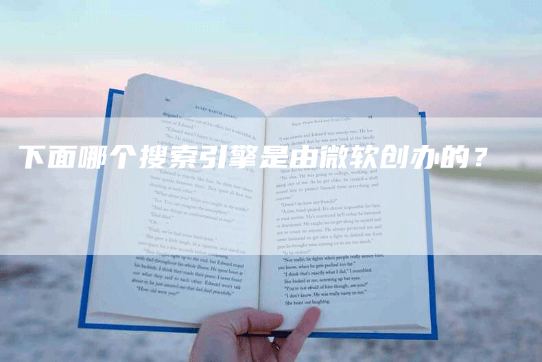 下面哪个搜索引擎是由微软创办的？-网站排名优化网