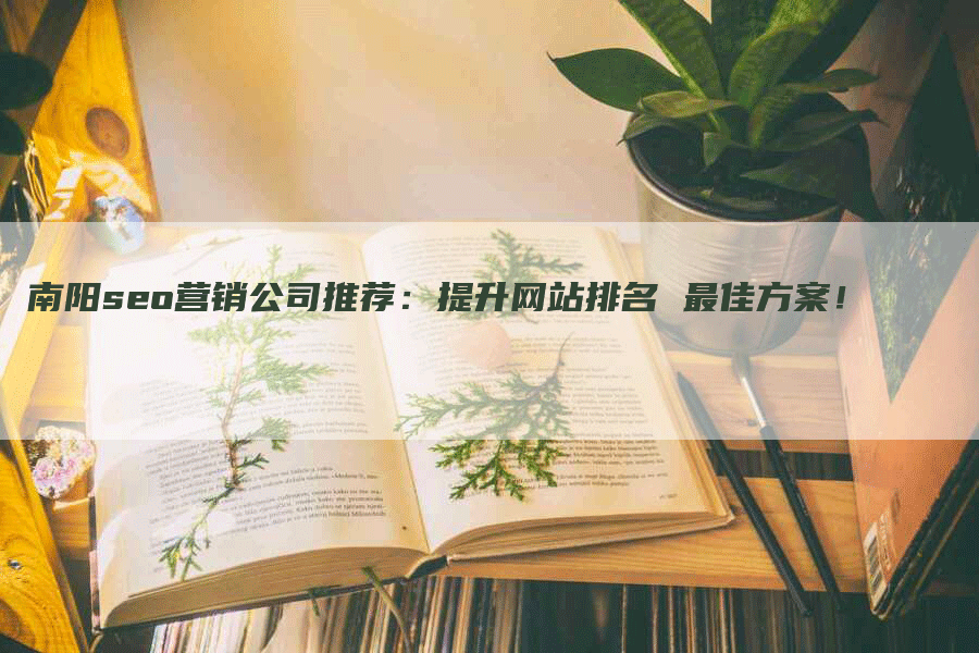 南阳seo营销公司推荐：提升网站排名 最佳方案！-网站排名优化网