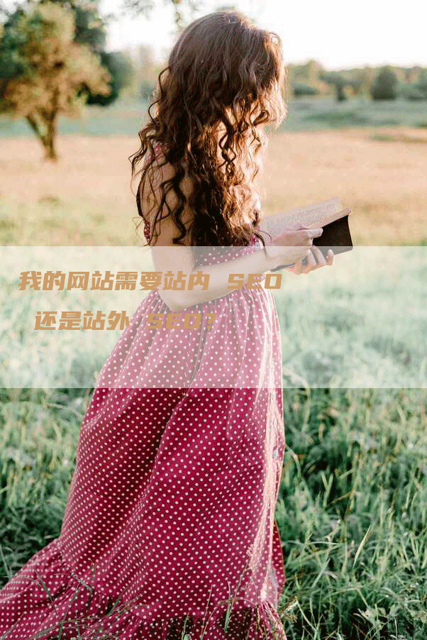 我的网站需要站内 SEO 还是站外 SEO？-网站排名优化网