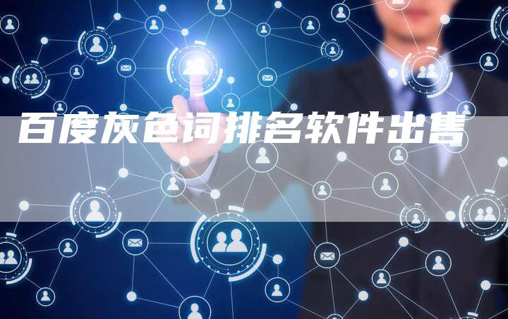 百度灰色词排名软件出售-网站排名优化网