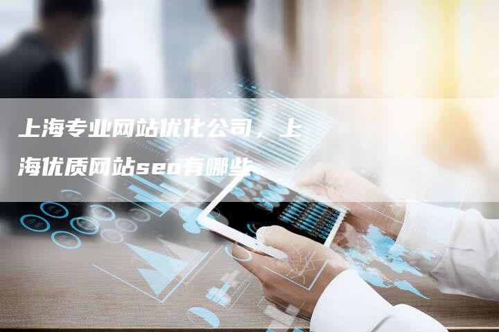 上海专业网站优化公司，上海优质网站seo有哪些