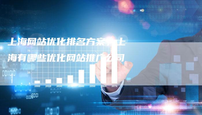 上海网站优化排名方案，上海有哪些优化网站推广公司