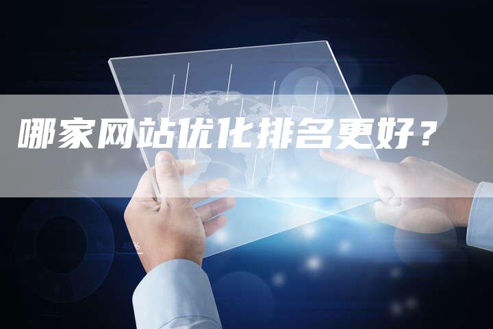 哪家网站优化排名更好？